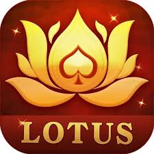 mobile app all rummy apps download